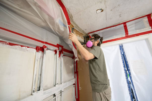 Best Residential Mold Inspection & Testing  in USA